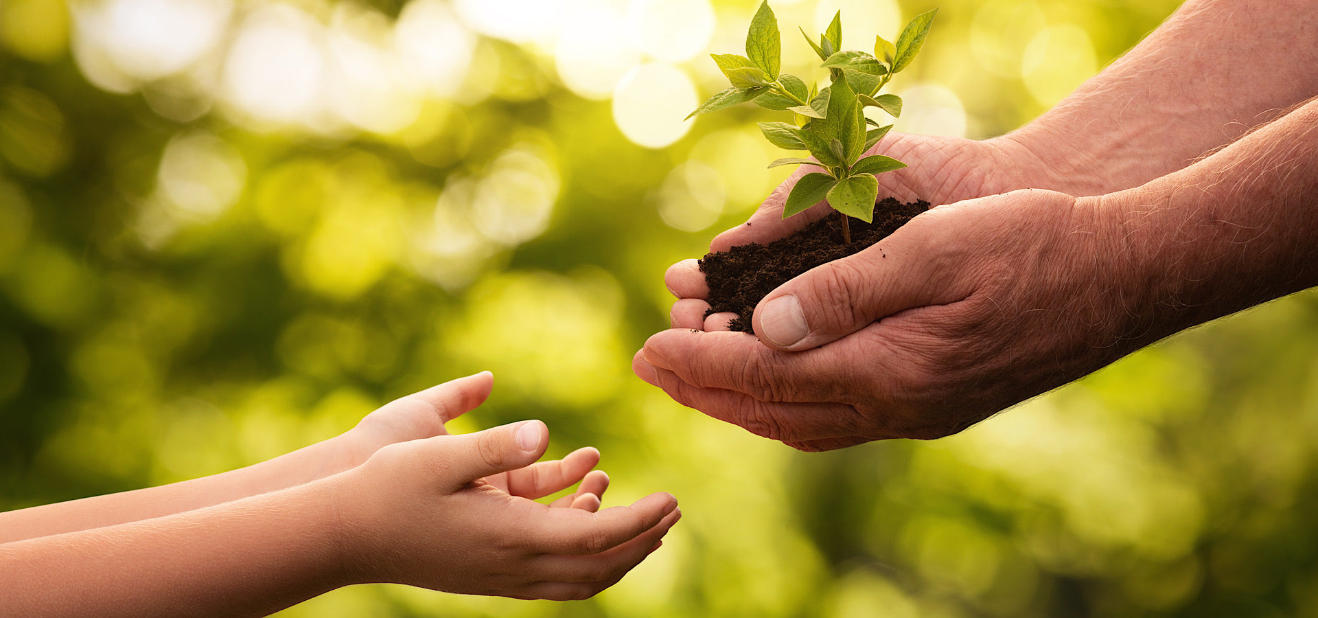 Rabbet Home Image of Generational Hands Planting a Tree for Carbon Neutral Shipping Blog